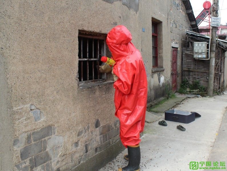 打电话叫消防队来掏个马蜂窝都不来,什么情况