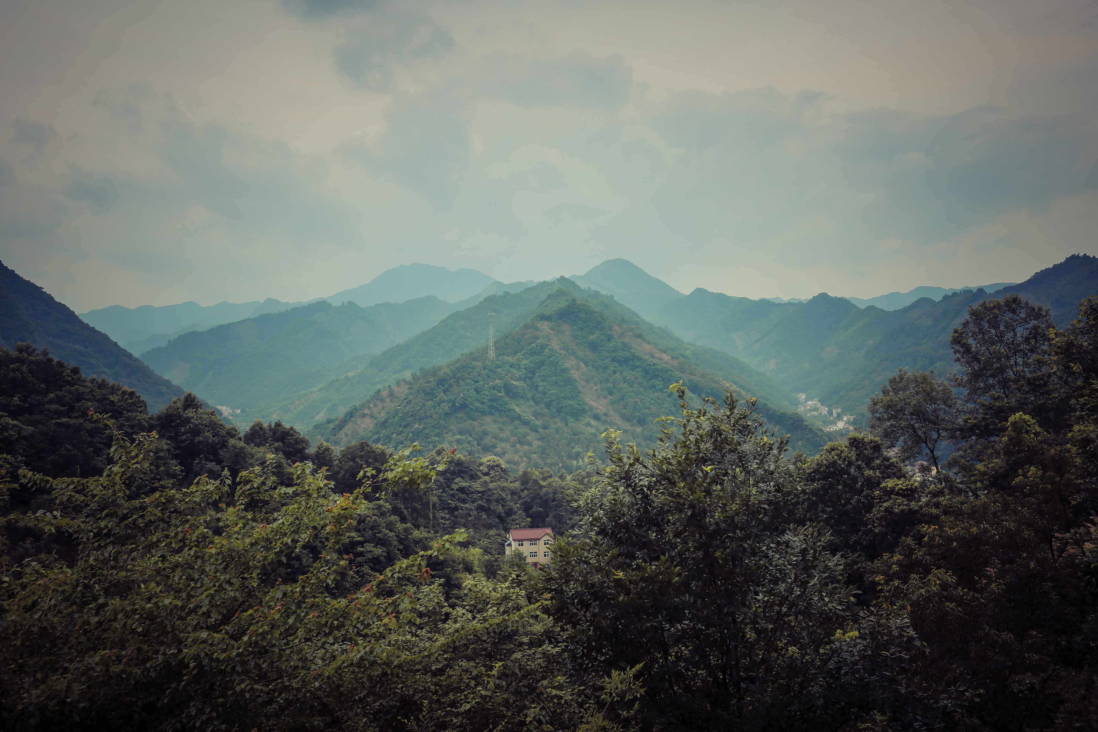 年华写文章--记大山里的农村女老师楼玉芳 - ┊