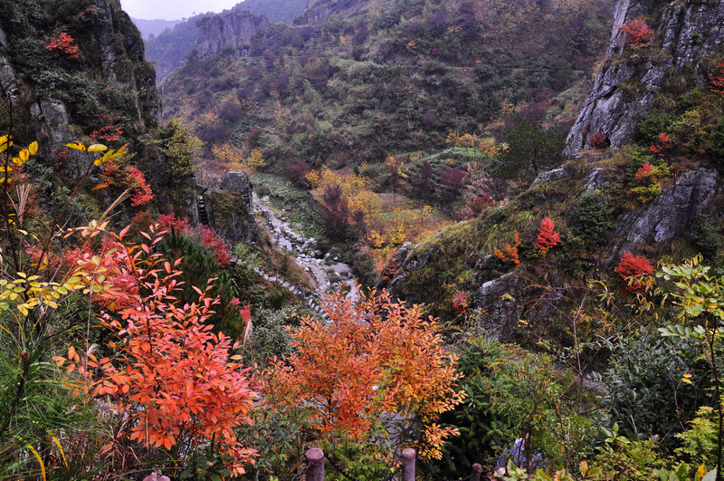 高山风景如来佛图片