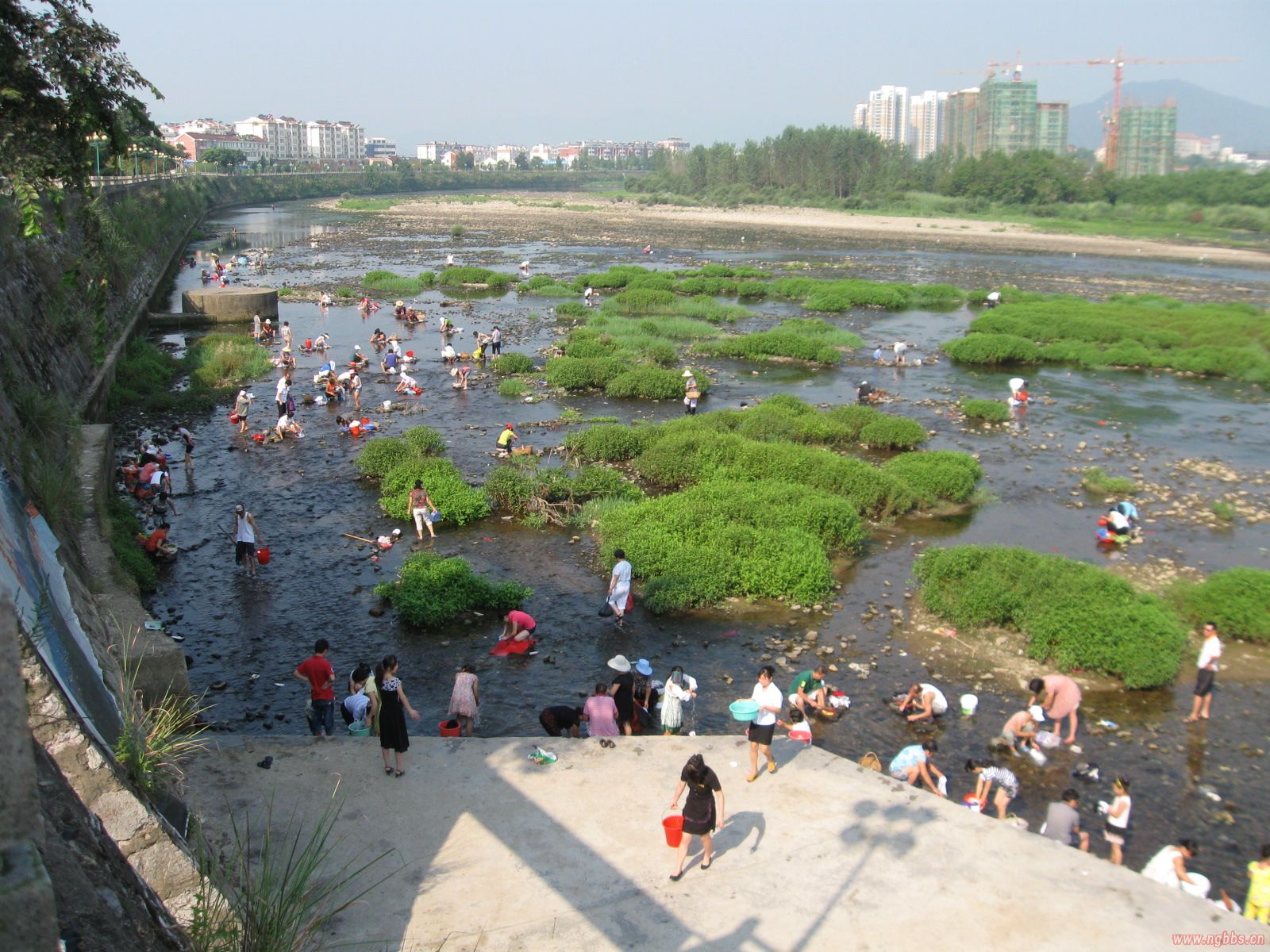 好热闹的西津河 宁国论坛 img_3073.jpg