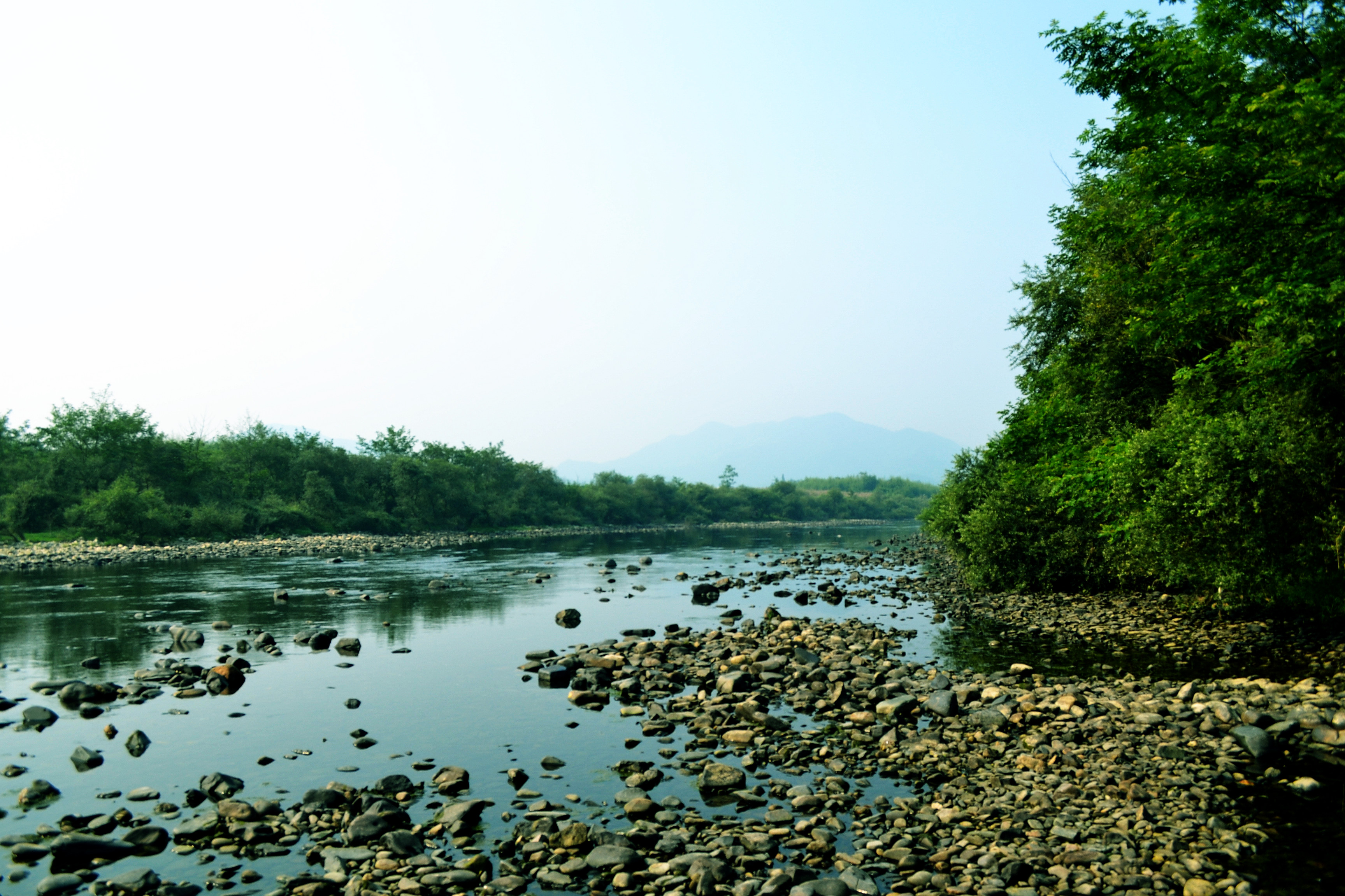 西津河滩 宁国论坛 dsc_0528.jpg