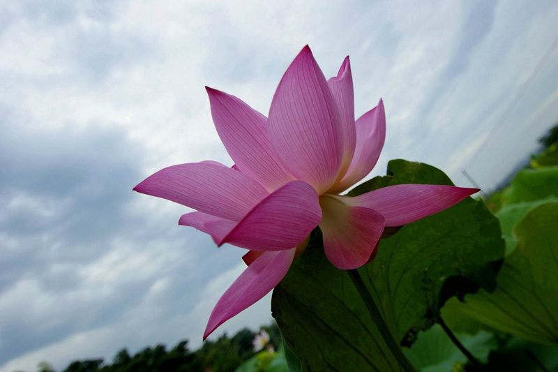 򸣺ɻ - ̳ - DSC07667.jpg