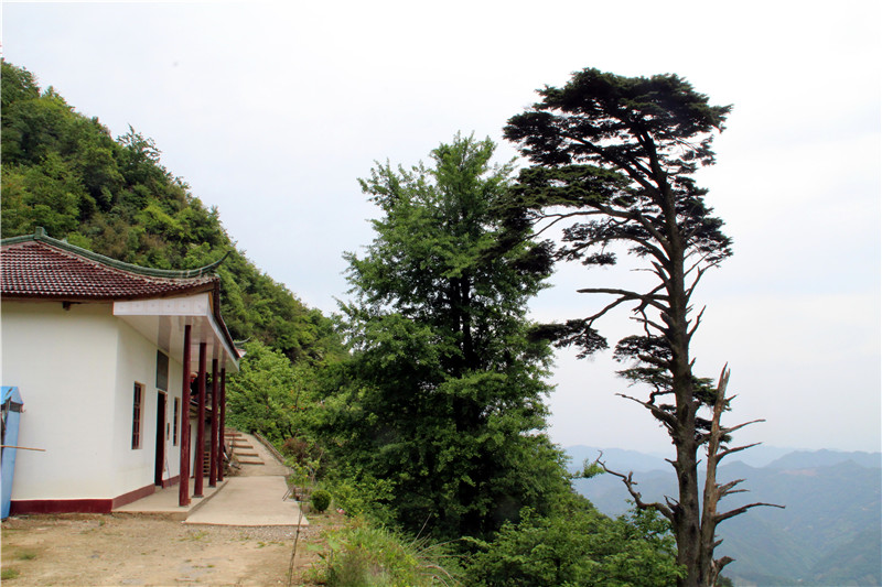 高峰山穿越记 - 宁国论坛 - img_7652.jpg