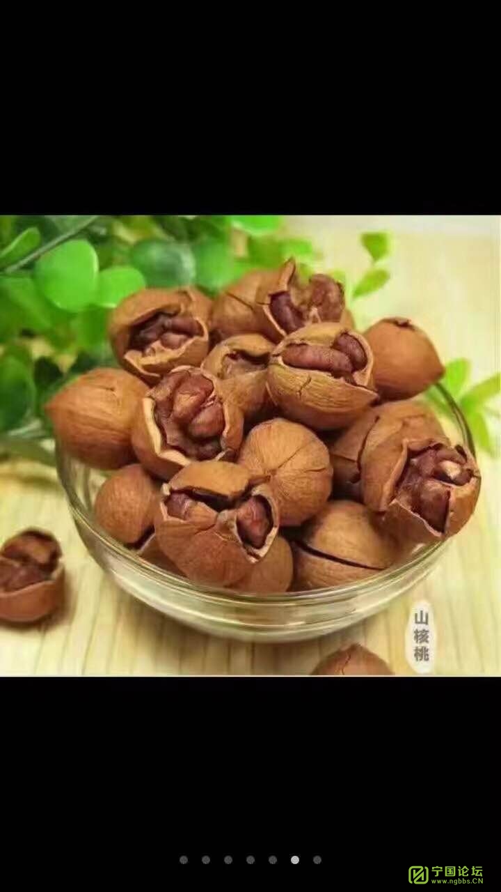 出售新鲜山核桃 - ┊农林特产┊ - 宁国论坛