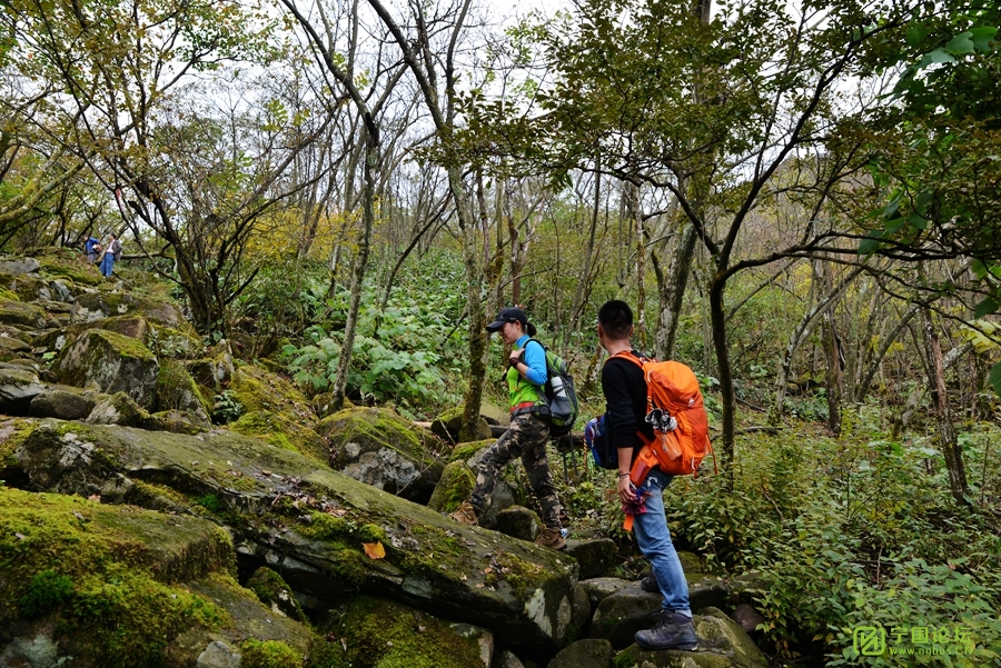 癞痢尖—除了风景,什么都没有 宁国论坛 dsc_5250.jpg