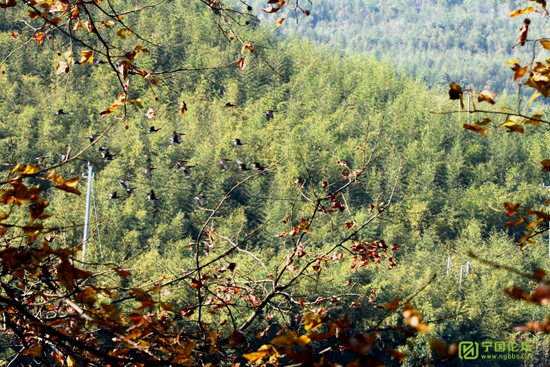 ŶһƬ! - ̳ - DSC_7451_.jpg