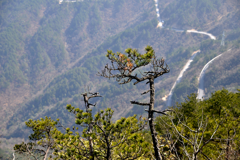 226շ굼ӥҲƬ - ̳ - DSC_0690_.jpg