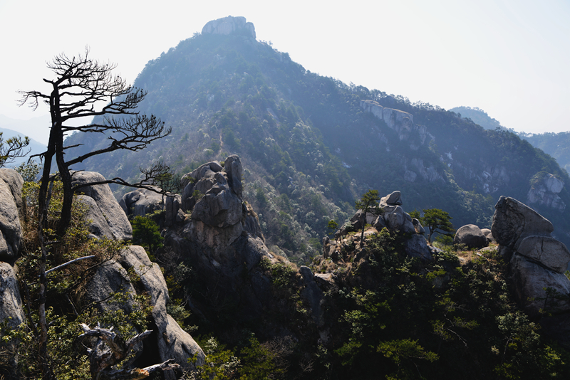226շ굼ӥҲƬ - ̳ - DSC_0717_.jpg