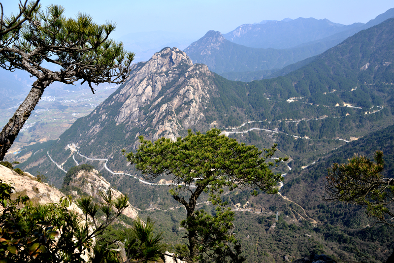 226շ굼ӥҲƬ - ̳ - DSC_0770_.jpg