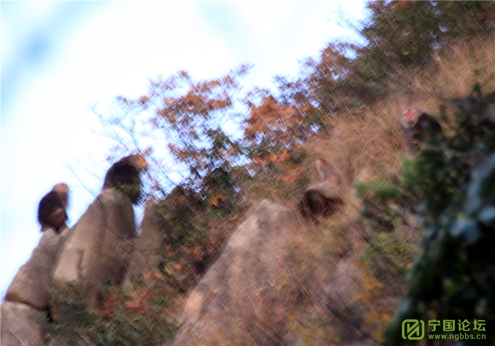 սʯ - ̳ - 20171105ʯ (124).jpg