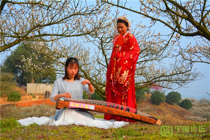 又到一年赏花时!“高桥赏梅亲子春游活动”成功举办! - 宁国论坛 - 6.jpg 又到一年赏花时!“高桥赏梅亲子春游活动”成功举办! - 宁国论坛 - 6.jpg