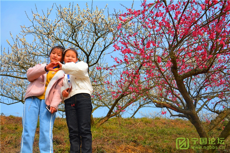 又到一年赏花时!“高桥赏梅亲子春游活动”成功举办! - 宁国论坛 - 9.jpg 又到一年赏花时!“高桥赏梅亲子春游活动”成功举办! - 宁国论坛 - 9.jpg