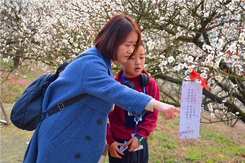 又到一年赏花时!“高桥赏梅亲子春游活动”成功举办! - 宁国论坛 - 7.jpg 又到一年赏花时!“高桥赏梅亲子春游活动”成功举办! - 宁国论坛 - 7.jpg
