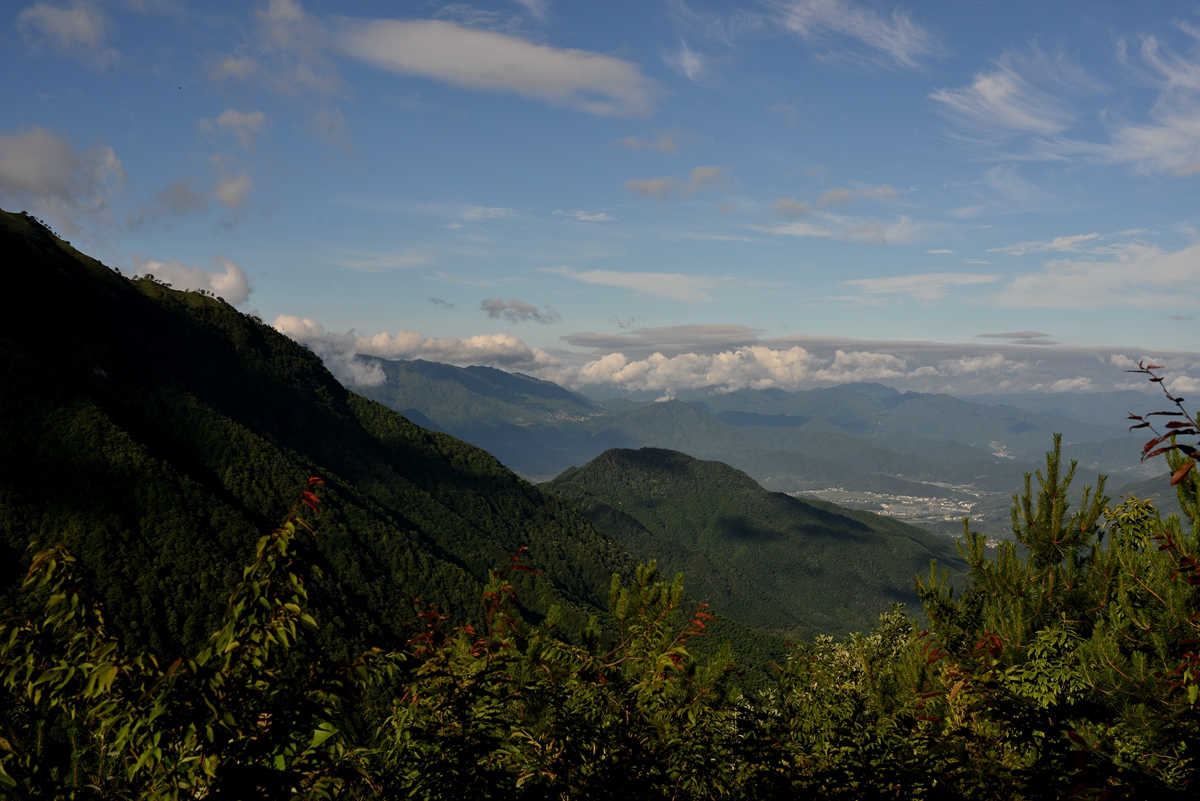 书ɽƺ - ̳ - DSC_4216_.jpg