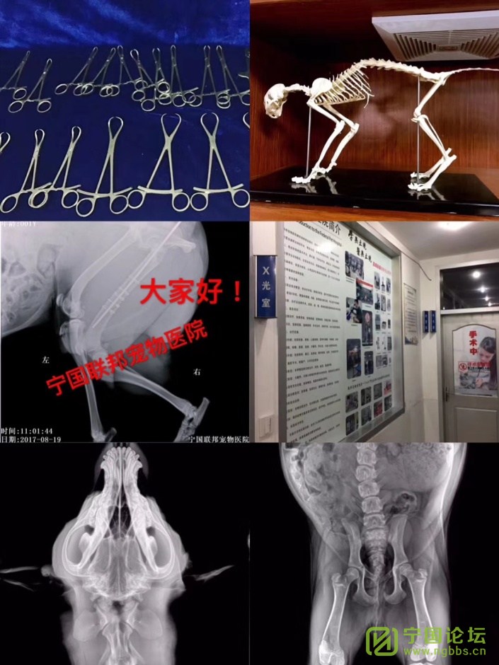 ҽԺһֵĳҽԺ - ̳ - ͼƬ8.png