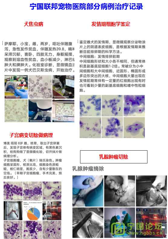 ҽԺһֵĳҽԺ - ̳ - ΢ͼƬ_20210521154714.png