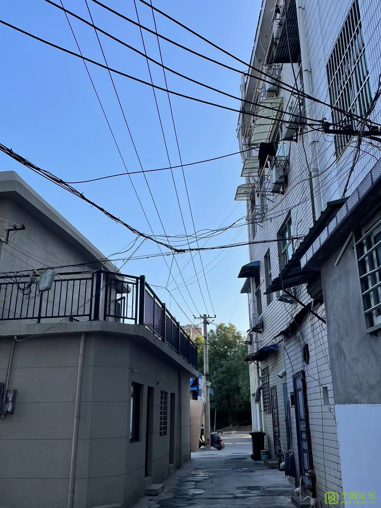 ֩ĵŻô죿11¥繫˾Ѵ𸴣 - ̳ - ΢ͼƬ_20221109115913.jpg