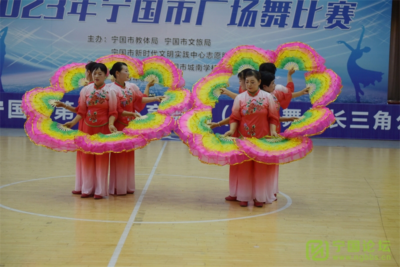 ֽ Ļ2023й㳡Բٰ죡 - ̳ - DSC_8202_.jpg