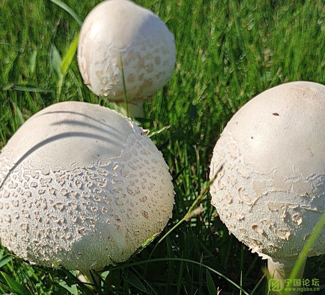 ̴ʦôƯĢܳԲ - ̳ - 718cdf29a551860f0b3363e8840b0ca.jpg