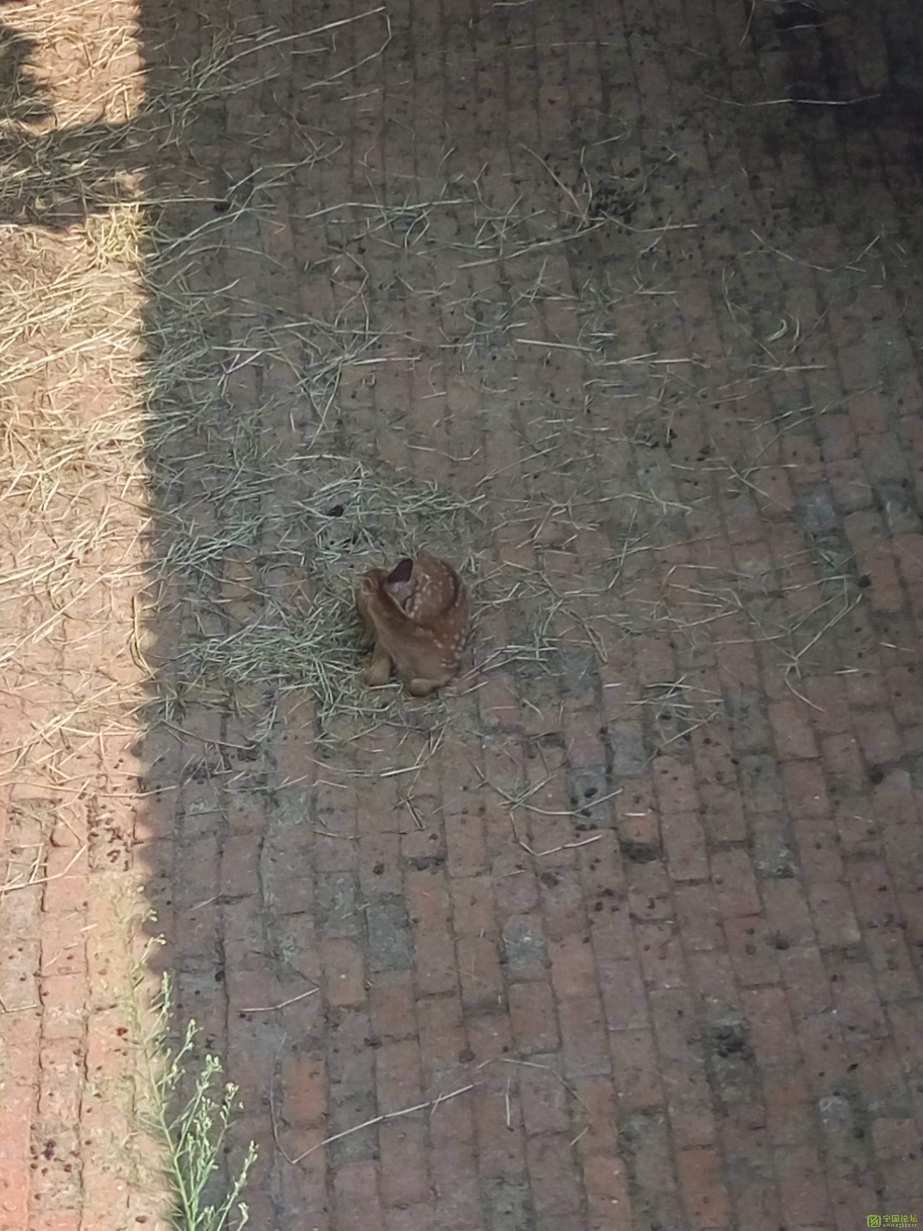 վԤٳǼ·̱ɣԤ - ̳ - IMG_20180721_145726_HDR.jpg