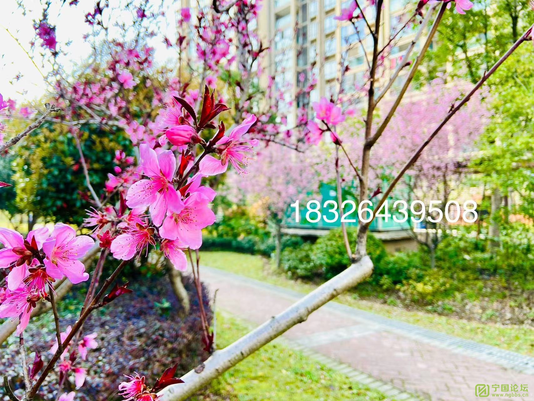 ļǵë42137ƽ88.8ϱͨ͸̨ͨļǰ - ̳ - ΢ͼƬ_20240327094018.jpg