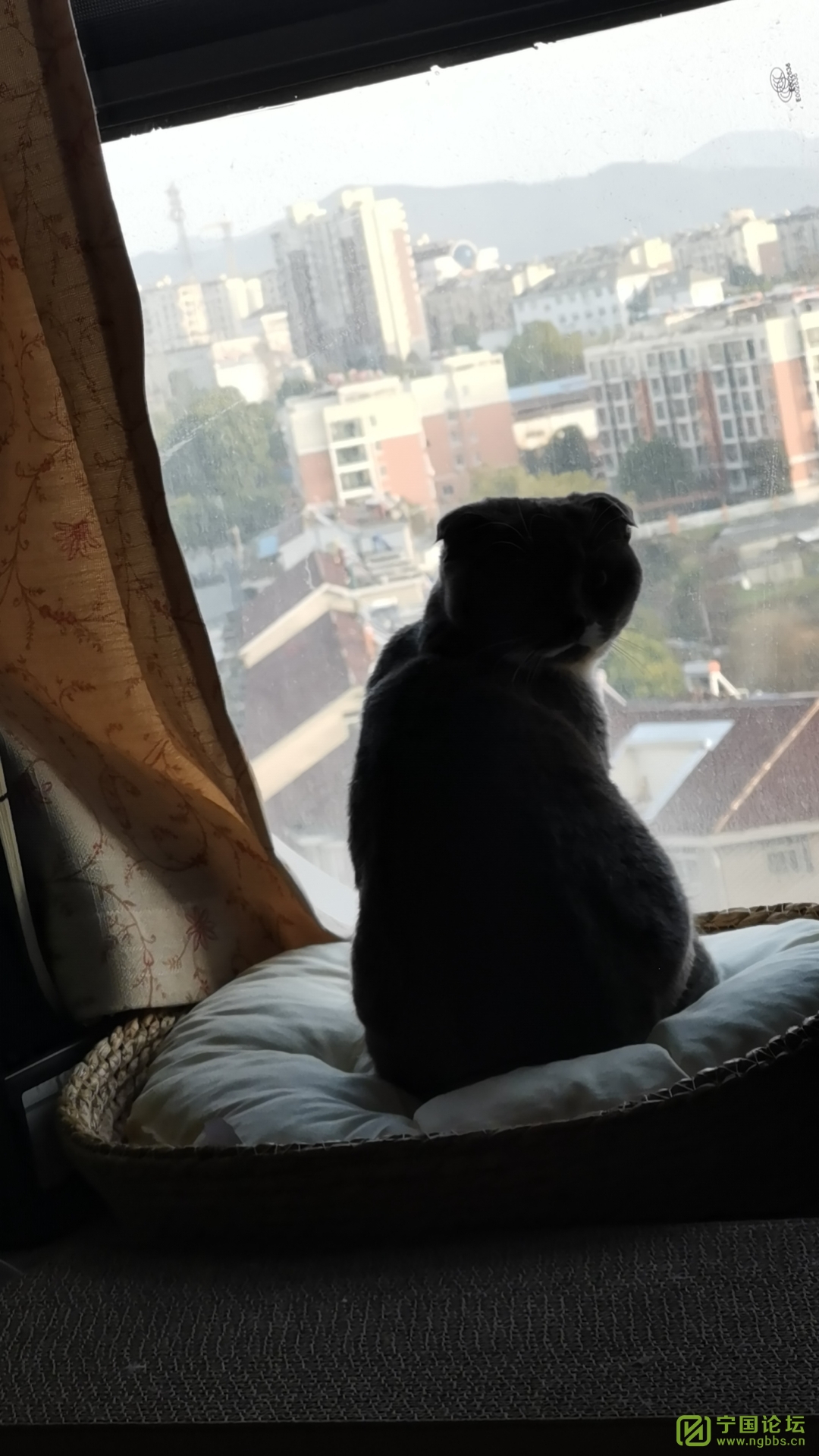 èҮ - ̳ - wx_camera_1674203513592.jpg