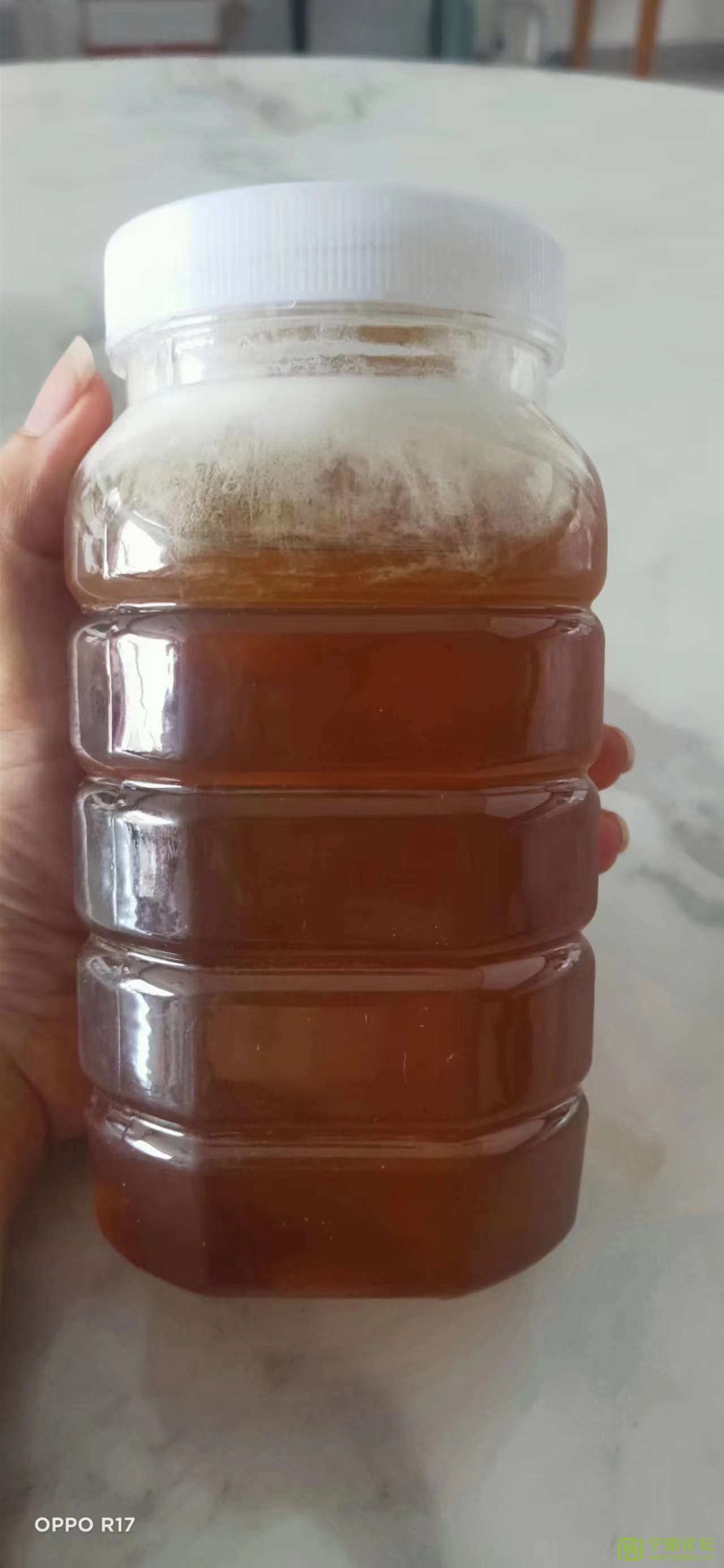 ۳ۣˮ滨ۣ - ̳ - 4.jpg