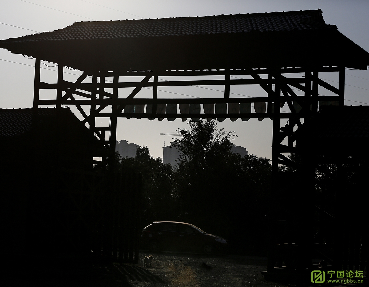 ʯ£Ǩеļ - ̳ - _MGL0465.jpg