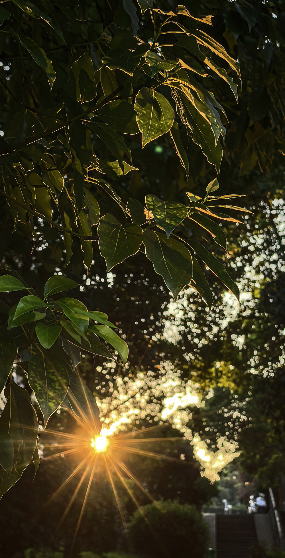 СԻΪP70Pro  ӰЧ - ̳ - IMG_20240823_061927.jpg