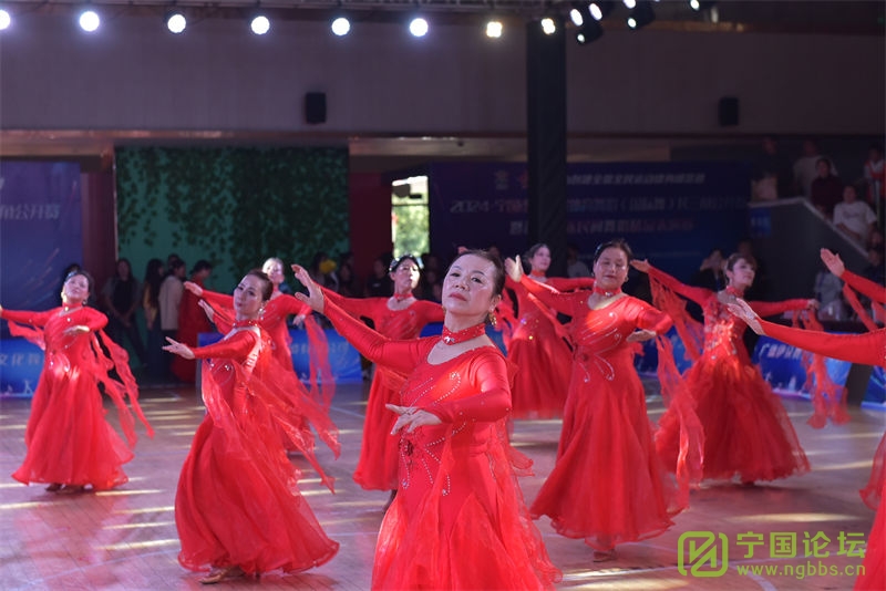 趯ഺ2024е߽赸裩ǹԲĻ - ̳ - DSC_3442.jpg