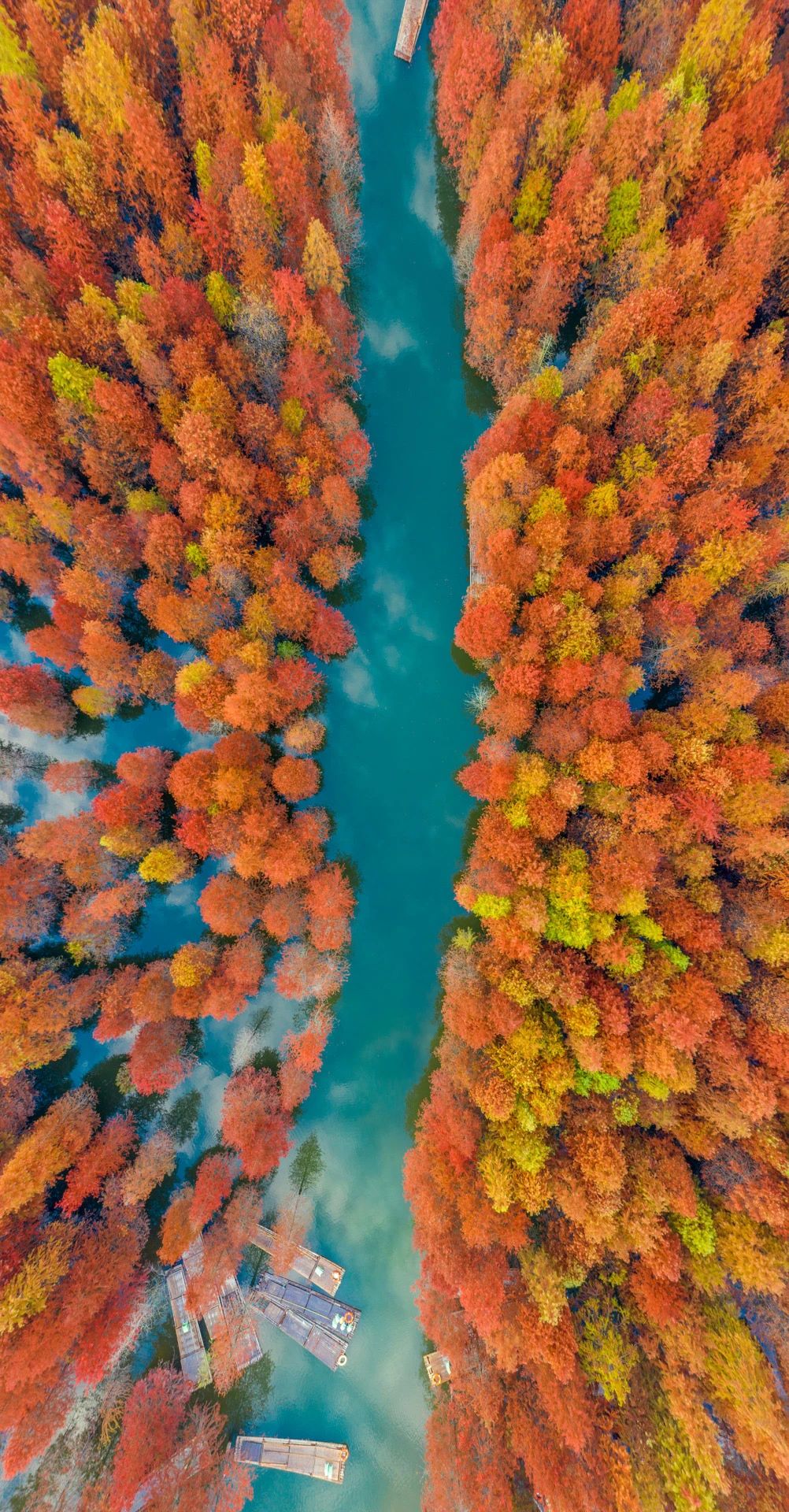  | еһ조жǻɽ2024߷ɽɽд - ̳ - 7.jpg