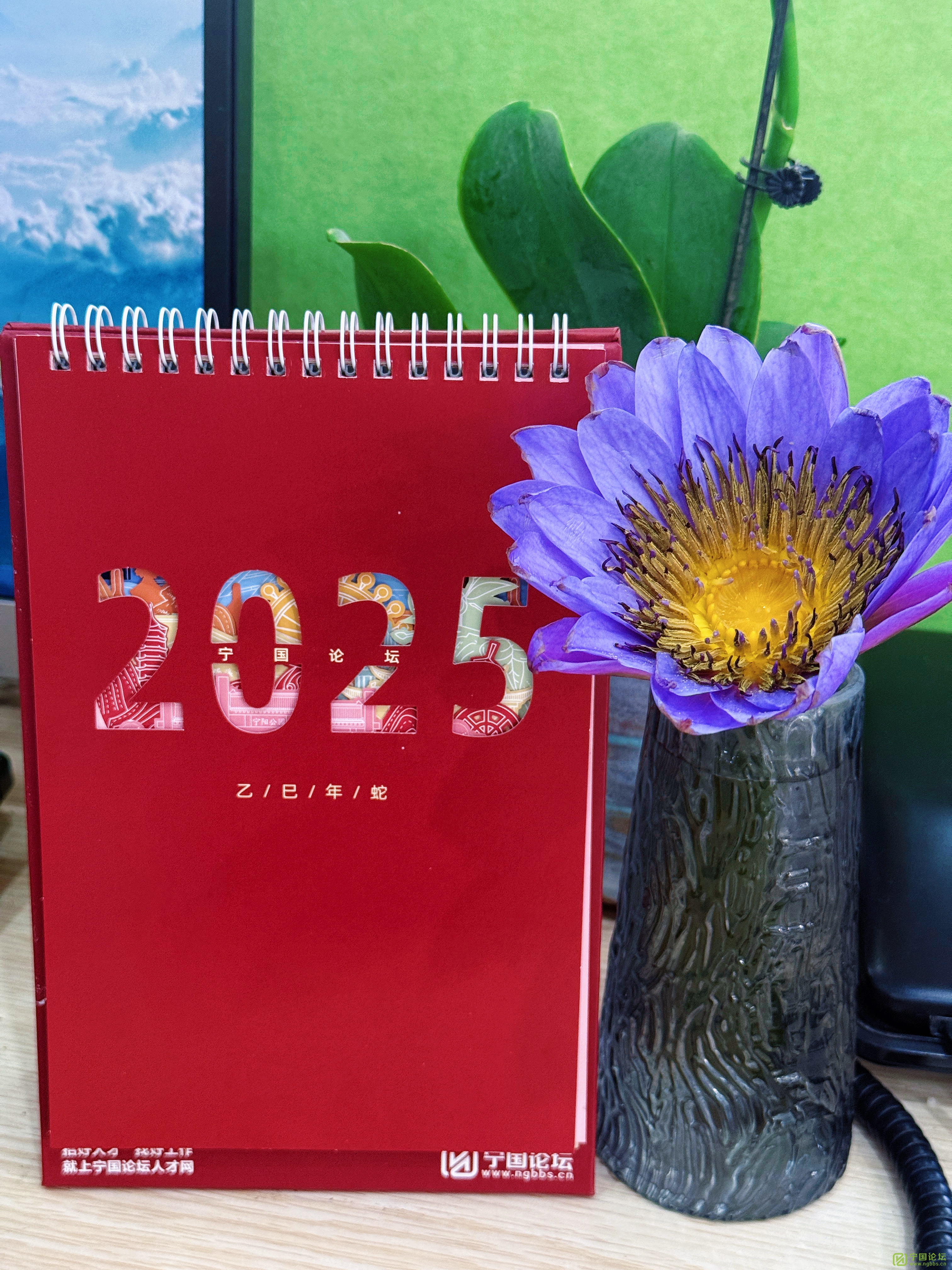 ̳2025꾫Ĵ̨12½ʼ~ - ̳ - ΢ͼƬ_20241203092201.jpg