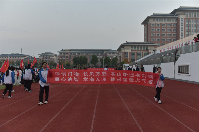 ഺ־ ܽǳѧչ2025꼶Զ - ̳ - DSC_9988.JPG