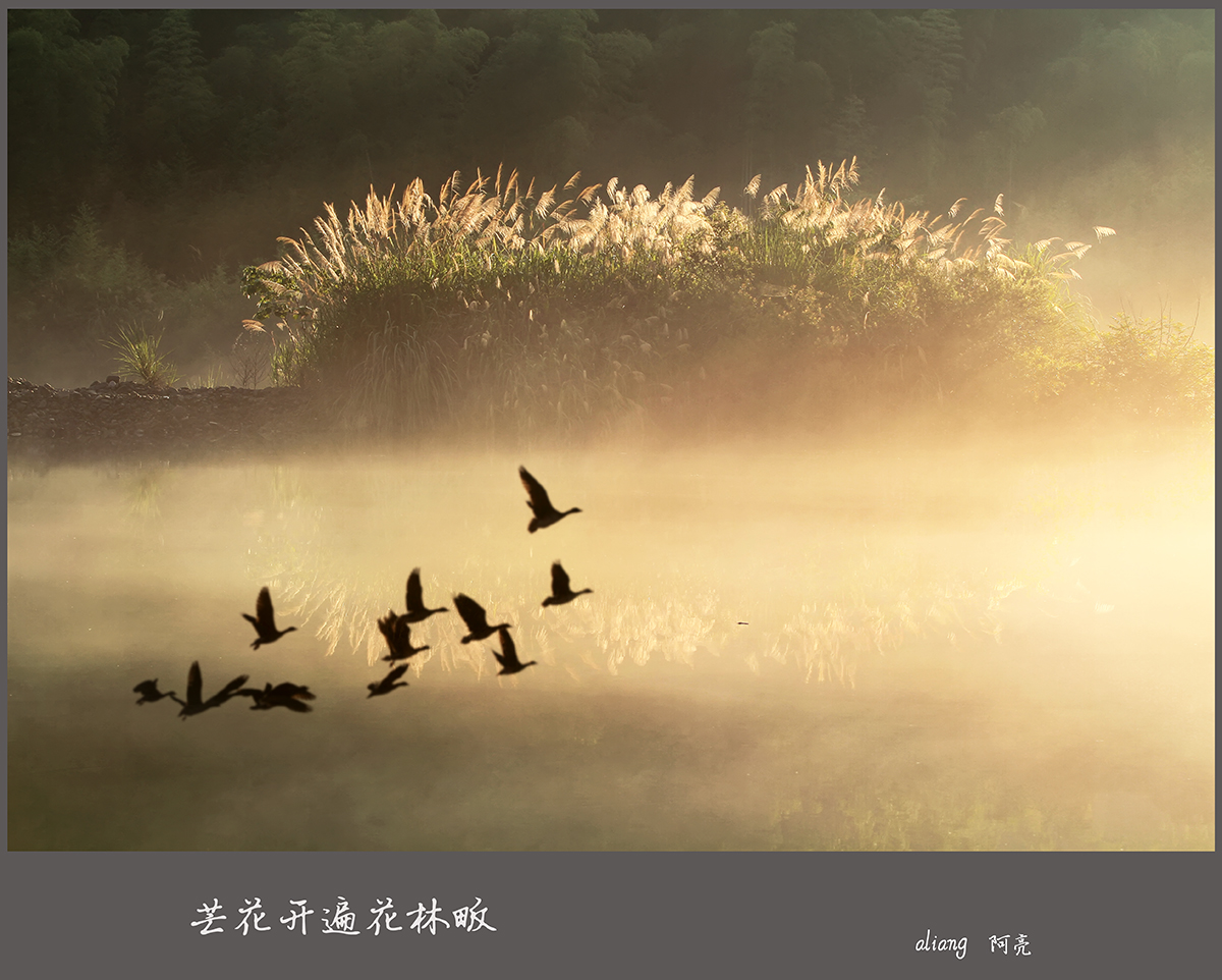 â黨 - ̳ - IMG.jpg