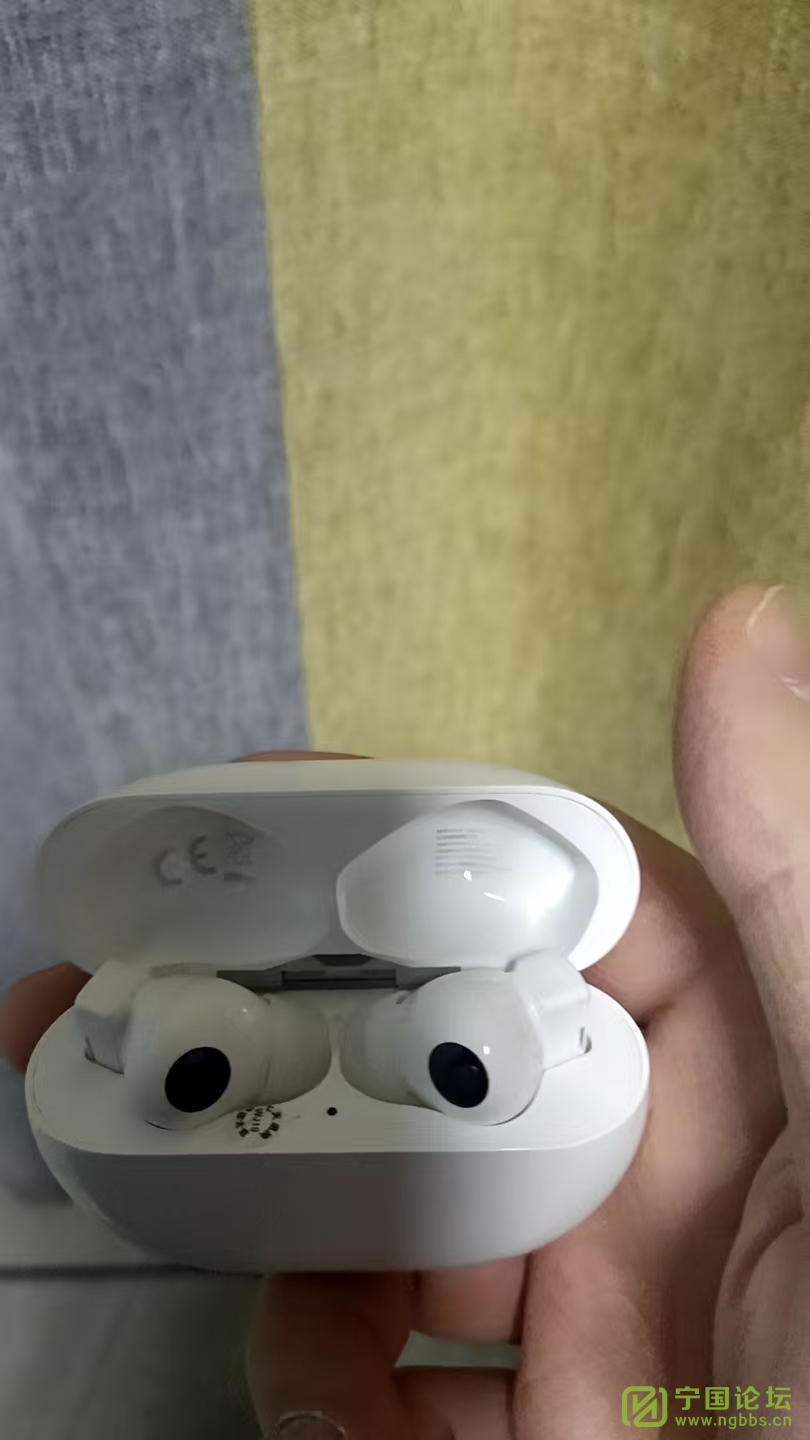 תһûΪfreebuds pro - ̳ - ΢ͼƬ_20250108175006.jpg