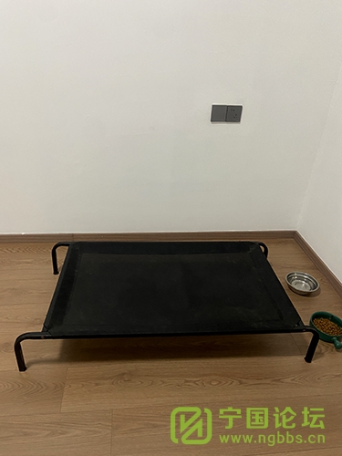 ó - ̳ - 2025_02_06_18_42_IMG_5386.JPG