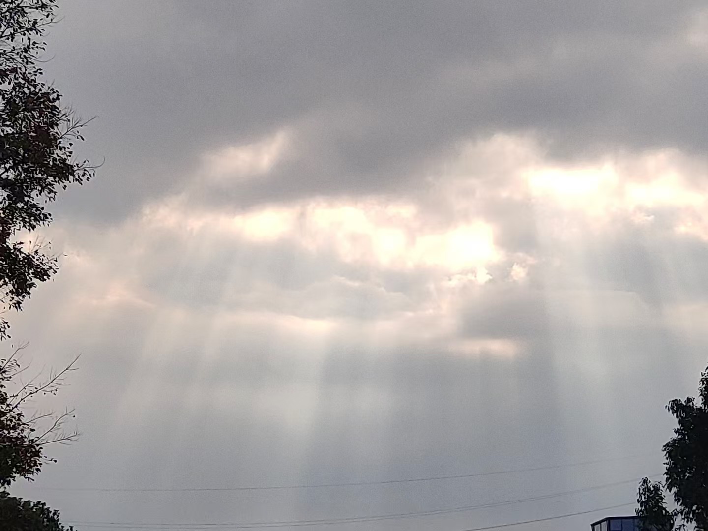 ӽ8 - ̳ - ΢ͼƬ_202503040944024.jpg
