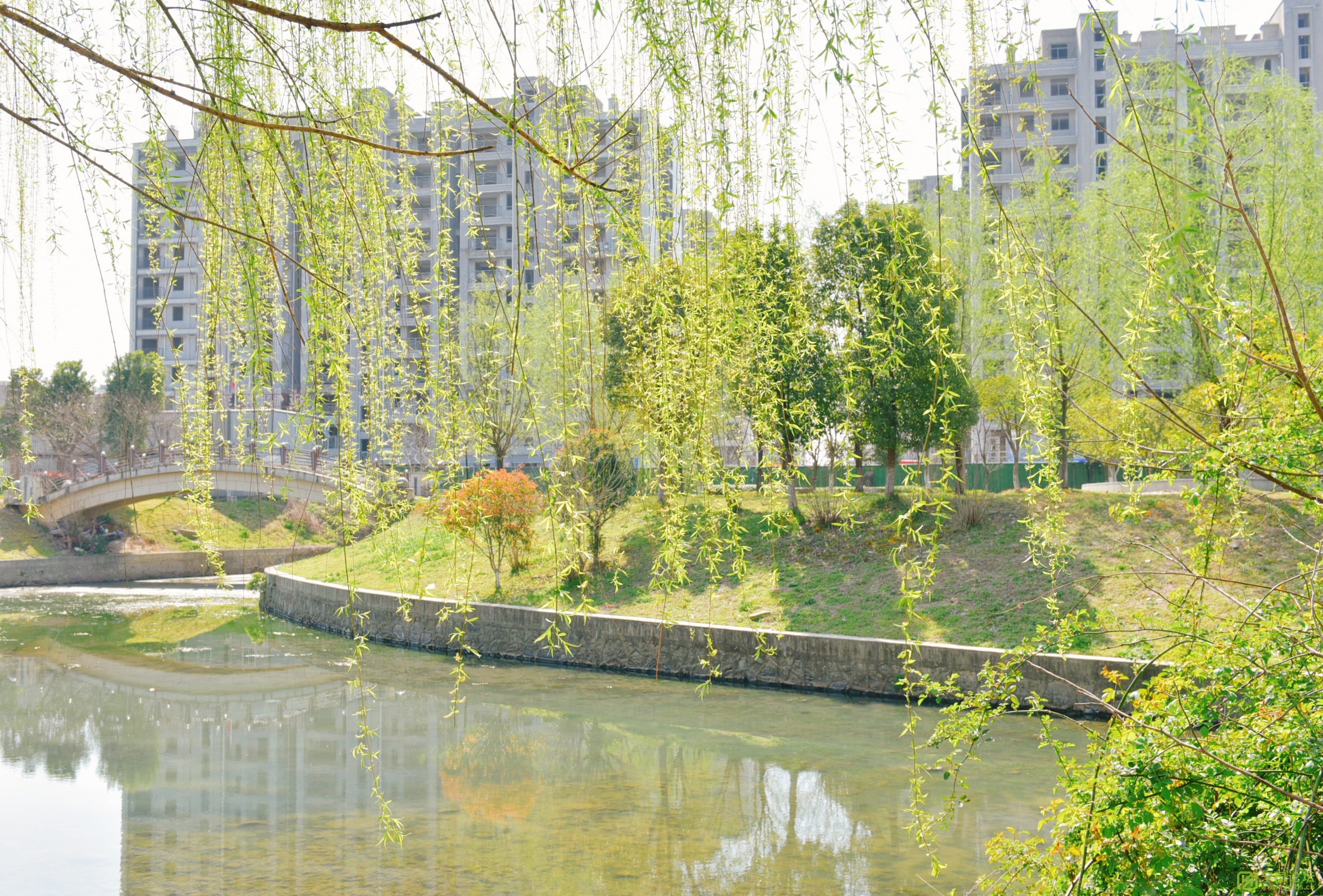 ӹ԰Ͼ - ̳ - DSC_7191.JPG