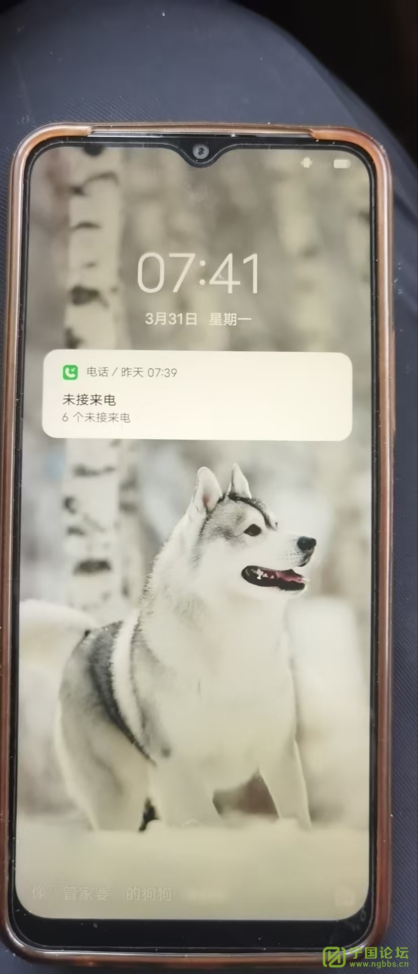 ֻ - ̳ - 687d528e00ced666c48ceea282c918e.jpg