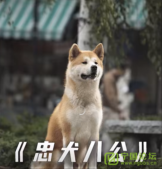 Ȯ - ̳ - wechat_2025-04-09_080439_575.png