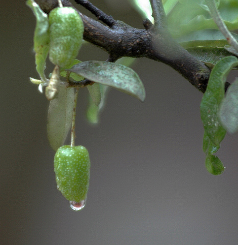 Ҽҵ棨ḷ̌ - ̳ - DSC_6720.jpg