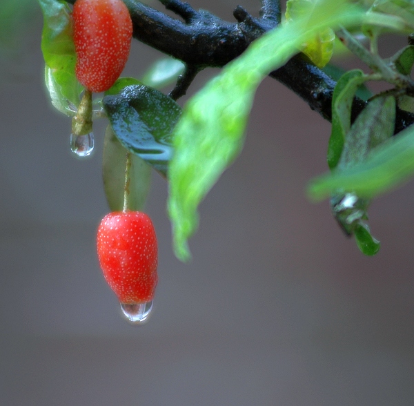 Ҽҵ棨ḷ̌ - ̳ - DSC_6780.jpg